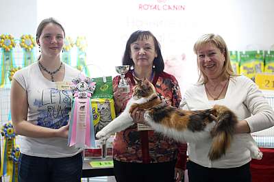 �������� ����� 11-12 ������ 2015, ������������ ���  mco-29-169A4105 copy.jpg